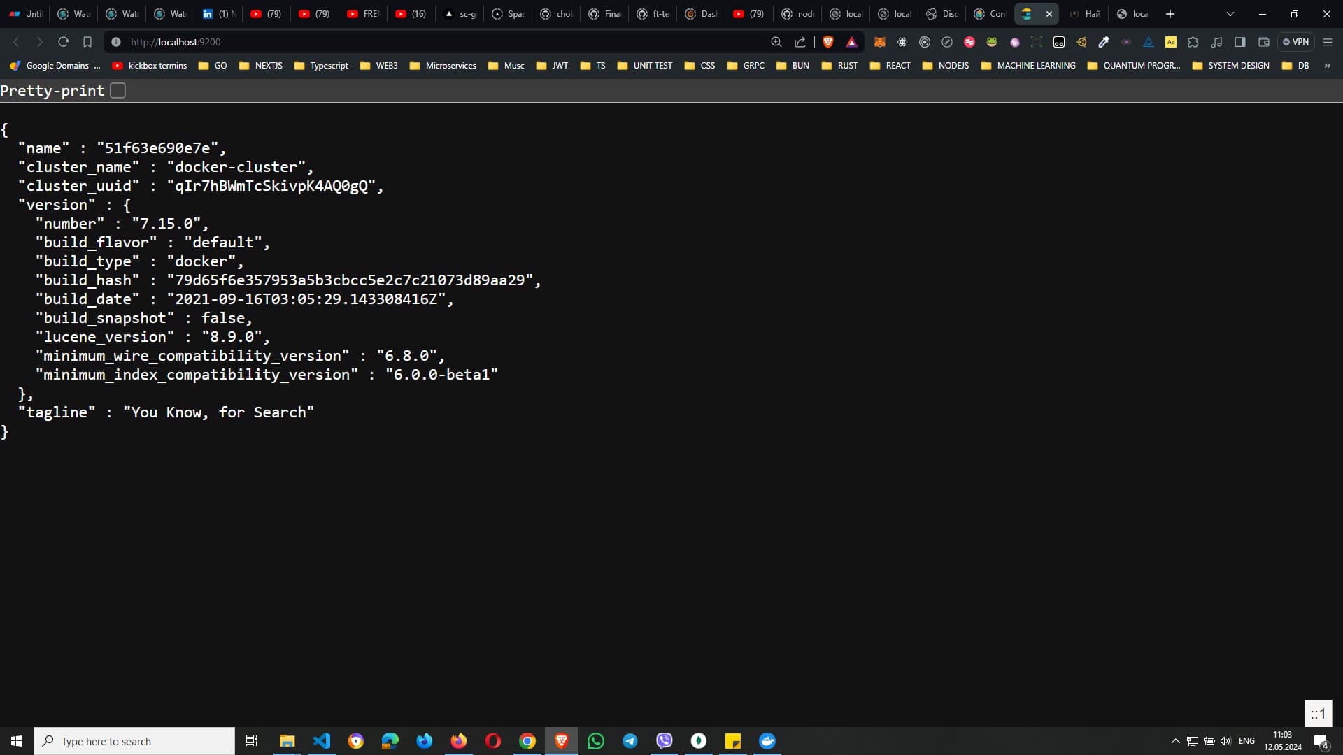 Browser window displaying JSON data from an Elasticsearch instance, showing cluster and version information including cluster name, UUID, version number, build details, and Lucene version.