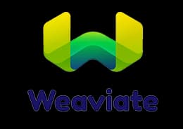 Weaviate - vector search database